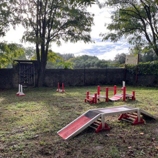parcours agility chiot