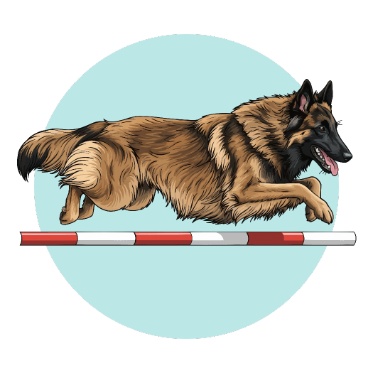 agility remoulins