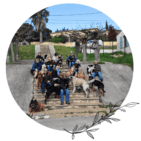 balade éducative club canin