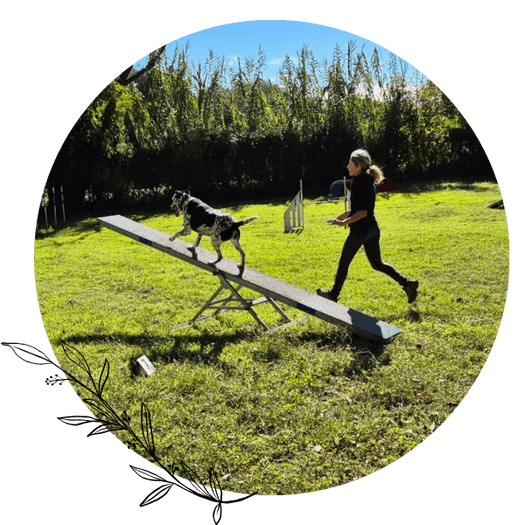 agility compétition gard